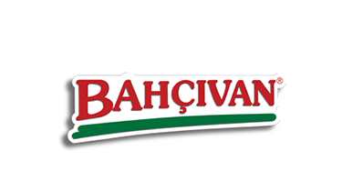 bahcivangida